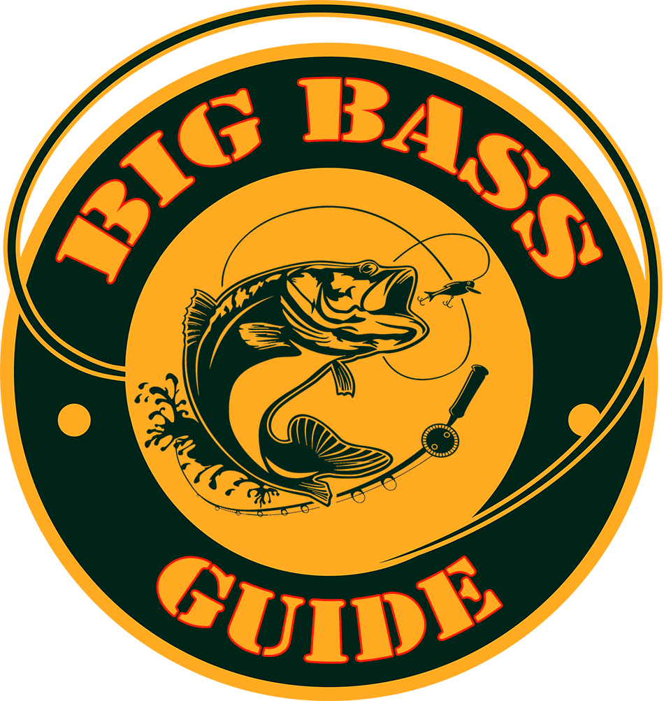 Big Bass Guide FL – Florida Bass Fishing Trips & Tours – Shea Arnold ...