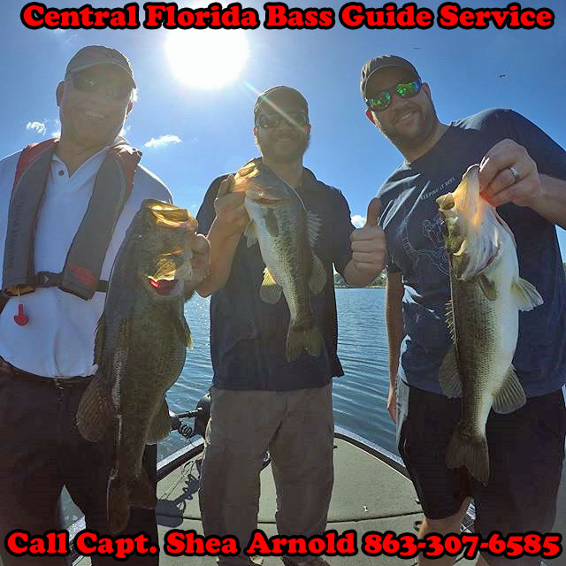 Big Bass Guide FL – Florida Bass Fishing Trips & Tours – Shea Arnold –  Certified Captain * Bass Fishing Fuide