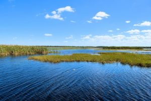 lake-toho - Big Bass Guide FL